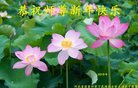 ���ֹ�,�żҿڴ󷨵��ӹ�ףʦ�������(20��)