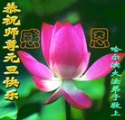 ���ֹ�,�������󷨵��ӹ�ףʦ�������(21��)