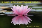 ���ֹ�,�ȷ��󷨵��ӹ�ףʦ�������(19��)