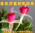 ���ֹ�,�ӱ��󷨵��ӹ�ףʦ�������(23��)