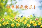 ���ֹ�,�����󷨵��ӹ�ףʦ�������(23��)