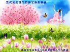 ���ֹ�,�����󷨵��ӹ�ףʦ�������(27��)