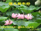 ���ֹ�,�����󷨵��ӹ�ףʦ�������(23��)