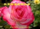 ���ֹ�,�������󷨵��ӹ�ףʦ�������(22��)