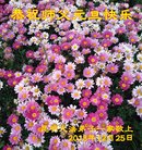 ���ֹ�,���ϴ󷨵��ӹ�ףʦ�������(19��)