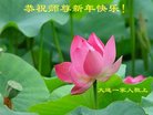 ���ֹ�,�����󷨵��ӹ�ףʦ�������(23��)