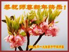���ֹ�,�ӱ��󷨵��ӹ�ףʦ�������(28��)