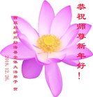 ���ֹ�,���ϴ󷨵��ӹ�ףʦ�������(20��)