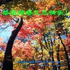 ���ֹ�,�����󷨵��ӹ�ףʦ�������(20��)