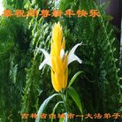 ���ֹ�,����ʡ�󷨵��ӹ�ףʦ�������(24��)