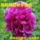 ���ֹ�,����ʡ�󷨵��ӹ�ףʦ�������(24��)