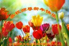 ���ֹ�,ʯ��ׯ�󷨵��ӹ�ףʦ�������(20��)