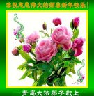 ���ֹ�,�ൺ�󷨵��ӹ�ףʦ�������(23��)