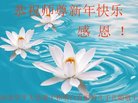 ���ֹ�,�ӱ��󷨵��ӹ�ףʦ�������(23��)