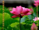 ���ֹ�,�ӱ��󷨵��ӹ�ףʦ�������(23��)