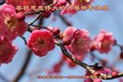 ���ֹ�,�����󷨵��ӹ�ףʦ�������(23��)