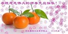 ���ֹ�,�ӱ��󷨵��ӹ�ףʦ�������(18��)
