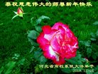 ���ֹ�,ʯ��ׯ�󷨵��ӹ�ףʦ�������(25��)