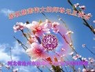 ���ֹ�,�ӱ��󷨵��ӹ�ףʦ�������(18��)