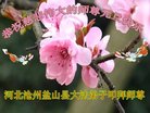 ���ֹ�,�ӱ��󷨵��ӹ�ףʦ�������(23��)