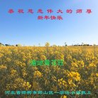 ���ֹ�,�ӱ��󷨵��ӹ�ףʦ�������(24��)