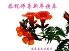 ���ֹ�,�ػʵ��󷨵��ӹ�ףʦ�������(20��)