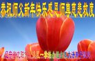 ���ֹ�,�����󷨵��ӹ�ףʦ�������(24��)