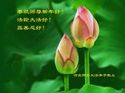 ���ֹ�,�ӱ��󷨵��ӹ�ףʦ�������(32��)