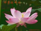 ���ֹ�,�����󷨵��ӹ�ףʦ�������(24��)