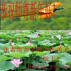 ���ֹ�,���մ󷨵��ӹ�ףʦ�������(24��)