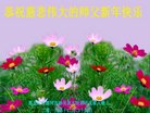 ���ֹ�,�������󷨵��ӹ�ףʦ�������(23��)