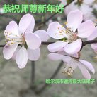 ���ֹ�,�������󷨵��ӹ�ףʦ�������(21��)