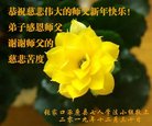 ���ֹ�,�żҿڴ󷨵��ӹ�ףʦ�������(25��)