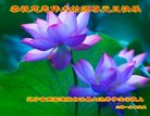 ���ֹ�,�����󷨵��ӹ�ףʦ�������(26��)