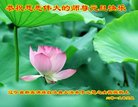 ���ֹ�,�����󷨵��ӹ�ףʦ�������(26��)