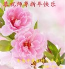 ���ֹ�,�ൺ�󷨵��ӹ�ףʦ�������(27��)