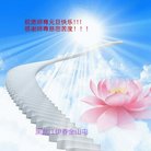 ���ֹ�,�������󷨵��ӹ�ףʦ�������(23��)