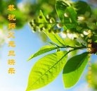 ���ֹ�,���󷨵��ӹ�ףʦ�������(25��)