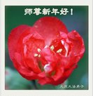 ���ֹ�,����󷨵��ӹ�ףʦ�������(22��)