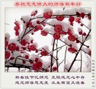 ���ֹ�,����󷨵��ӹ�ףʦ�������(22��)