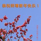 ���ֹ�,�ɶ��󷨵��ӹ�ףʦ�������(22��)