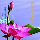 ���ֹ�,���ϴ󷨵��ӹ�ףʦ�������(19��)