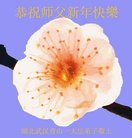 ���ֹ�,�����󷨵��ӹ�ףʦ�������(21��)