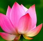 ���ֹ�,�����󷨵��ӹ�ףʦ�������(25��)