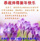 ���ֹ�,�����д󷨵��ӹ�ףʦ�������(23��)