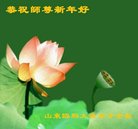 ���ֹ�,Ϋ���󷨵��ӹ�ףʦ�������(24��)