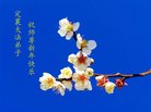 Published on 2/16/2018 ���ֹ�,��½�󷨵��ӹ�ףʦ�������(40��)