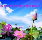 ���ֹ�,�����󷨵��ӹ�ףʦ�������(24��)