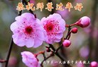 Published on 2/12/2018 ���ֹ�,��½���ڸ�л��ʦ���Ķ���