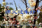 Published on 2/12/2018 ���ֹ�,���󷨵��ӹ�ףʦ�������(22��)